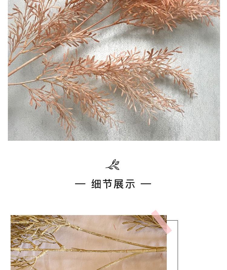 合欢草详情_09