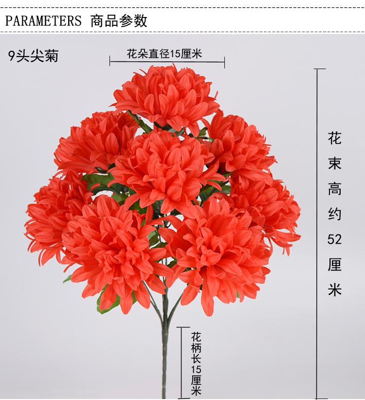 9头尖菊_01.jpg