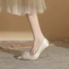 Jin Gang CH8089-2 Sapatos de Salto Alto Vazados Baotou Femininos Primavera e Outono 2024 Sapatos de Cetim Bico Fino Stiletto