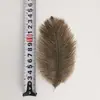 Plumas de Avestruz de 10-15 cm al por Mayor en Stock para Decoración de Bodas, Manualidades DIY, Disfraces de Escenario Plumas de Avestruz al por Mayor