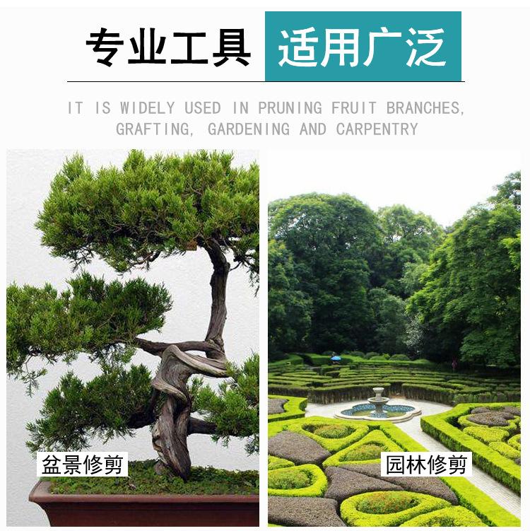 剪定锯详情_03.jpg