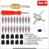 Kit de reparación de tapas de válvula para coche y bicicleta de 33 piezas, herramienta extractora de núcleos de válvula, kit de reparación