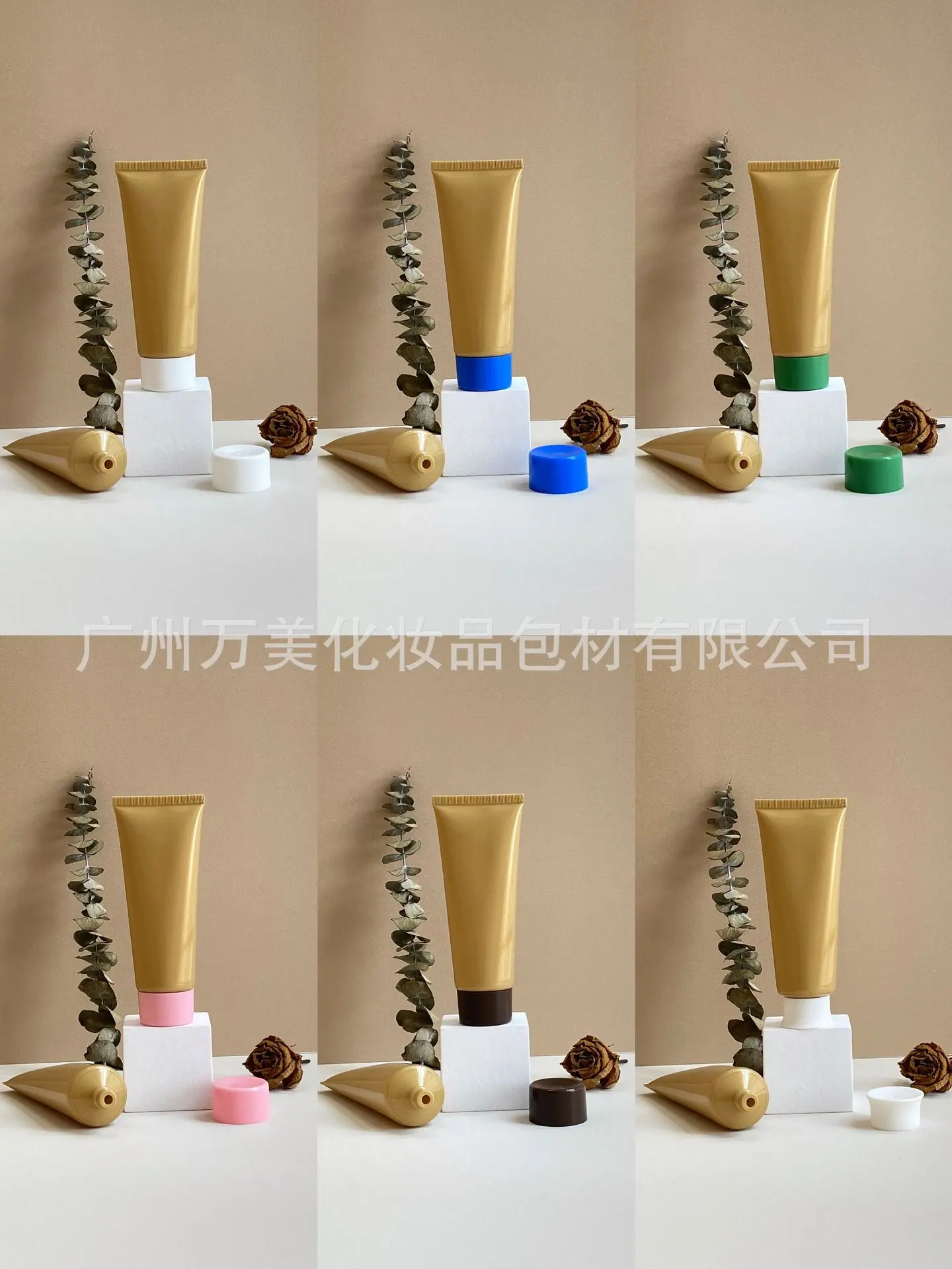 6展 示 .jpg