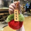 Nuevo Estilo [Quitador de Mala Suerte] Colgante de Peluche de Hoja de Toronja Adorno de Buena Suerte Estilo Celebridad de Internet Linda Decoración para Mochila Regalo para Mejor Amigo