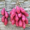 Pimentas, Milho Falso, Alho, Amendoins, Vegetais, Frutas, Restaurante de Fazenda, Decorações de Modelo de Campo de Horta, Cordas para Pendurar