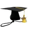 2026 Chapéu de Formatura de Animal de Estimação Chapéu de Bacharel para Cachorro Chapéu Preto de Doutorado 2026 Chapéu com Pingente de Borla Chapéu de Formatura