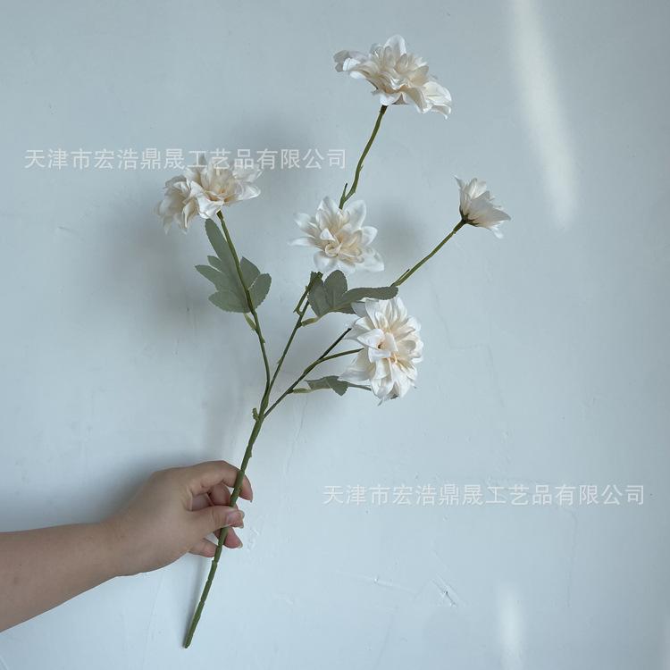 微信图片_202208161554352_副本
