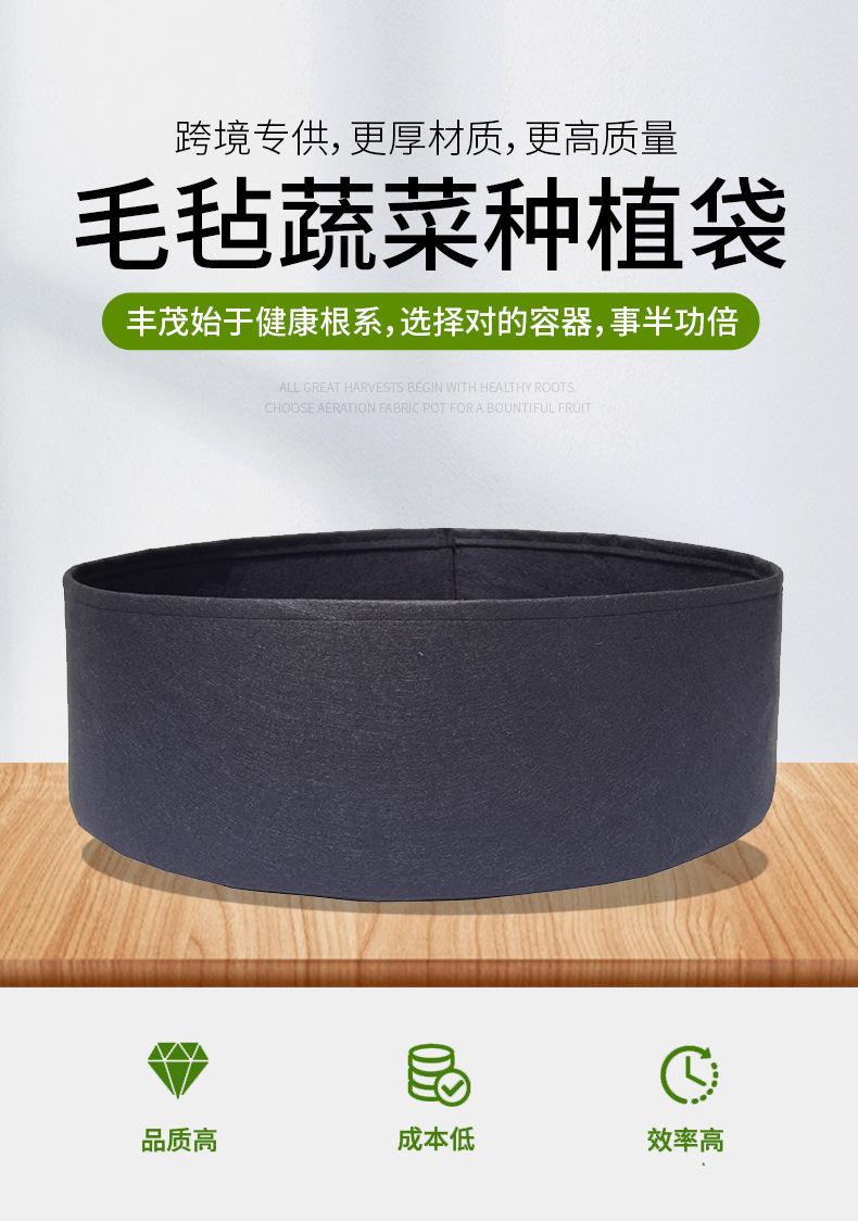 浅口详情页_01.jpg