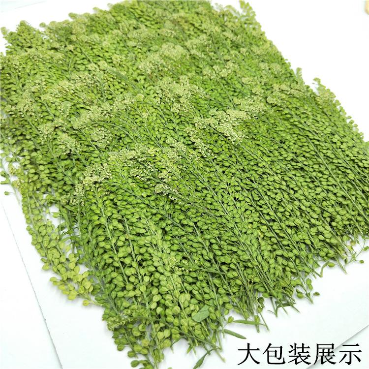IMG20190623102439