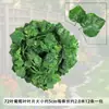 Hojas de Ratán Artificiales, Hojas de Planta Verde Artificiales, Hojas de Potos, Hojas de Uva, Decoraciones de Plantas Verdes Artificiales en Maceta, Hojas Artificiales
