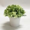 Plantas Artificiales Combinadas Populares de Amazon Estilo Nórdico Adornos de Escritorio para el Hogar Plantas Verdes Mini Planta Artificial Bonsái