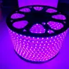 220V505016 Color 10mm Techo Impermeable Tira de Luces Control Remoto Iluminación de Ingeniería Dimmable Tira de Luz RGB Sin Parpadeo