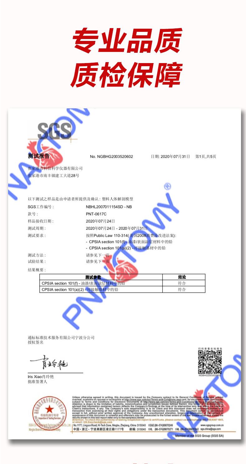 两节腰椎带椎间盘病变