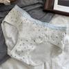 Renda Pequena Floral 7A Antibacteriano Roupa Íntima Feminina Algodão Puro Gancho Estendido Para Meninas Cintura Média Categoria a Algodão Meninas Tamanho Grande Atacado