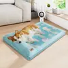 Tapetes para Cachorros São Removíveis e Laváveis no Verão, Adequados para Cães Pequenos e Médios, Camas para Gatos Dormirem, Almofadas de Gelo Refrigerantes para Gatos, Ninhos para Pets Atacado