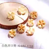Pacote de Material de Flores Secas Espécime Jardim de Infância Casca de Fruta Caseira Flor Seca Bolota Porta-Retrato Espécime Pinha Porta-Retrato DIY Feito à Mão