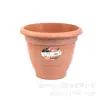 Cumbre Global Maceta Gruesa de Plástico Rosa Planta Suculenta Planta con Maceta Borde Planta Verde Bandeja de Balcón