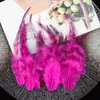 Aproximadamente 50 Piezas de Puntas de Plumas Azules y Blancas para Manualidades, Decoraciones de Plumas de Pollo Coloridas, Accesorios para el Cabello, Materiales Hechos a Mano para Atrapasueños, Directo del Fabricante