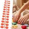 Uñas Postizas Opacas Esmeriladas Populares de Amazon para Niños, Uñas Portátiles en Colores Sólidos y Múltiples Colores, Piezas de Uñas en Diferentes Tamaños