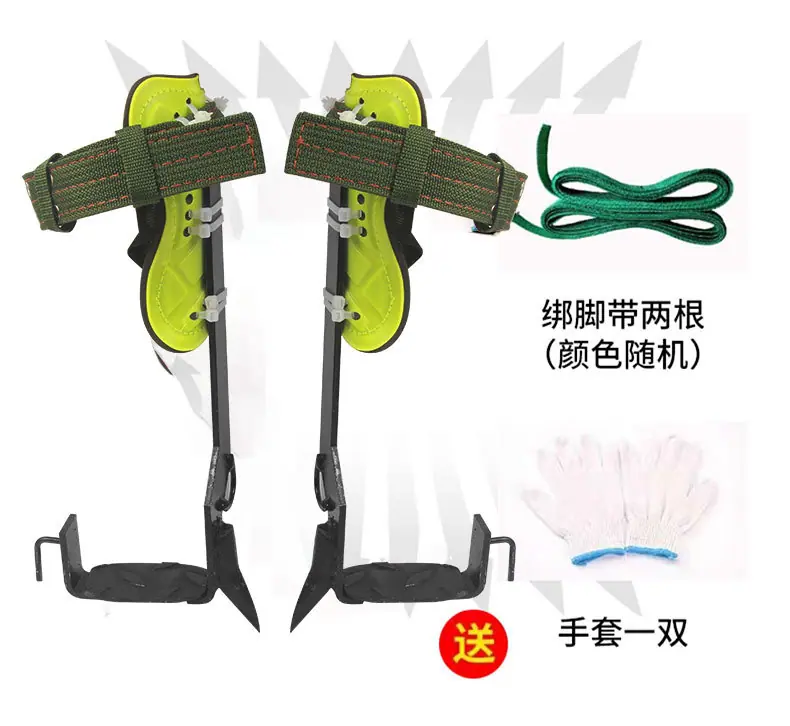 黄色1_07.jpg