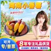 Batata Doce Pequena de Hainan Selecionada Cuidadosamente Dropshipping 3 Jin Batatas Doces Médias Fruta Única 55-150 Gramas Batata Doce Verduras Frescas