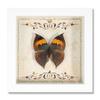 Especimen de Mariposa Real Marco de Fotos Cuadrado Vintage de 6 pulgadas Verde con Mariposa Cuifeng Marco Decorativo de Madera Regalo Cumpleaños Material Didáctico