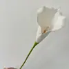 Ramos Grandes y Pequeños de Lirios de Cala Decoración para el Hogar Arreglo Floral Flores Falsas Ramo para Llevar en Boda eva Mini Ramos Pequeños de Flores