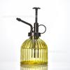 Regadera de vidrio transparente transfronteriza de color para escritorio, rociadora de plantas verdes carnosas, herramientas de riego para jardinería, adornos al por mayor