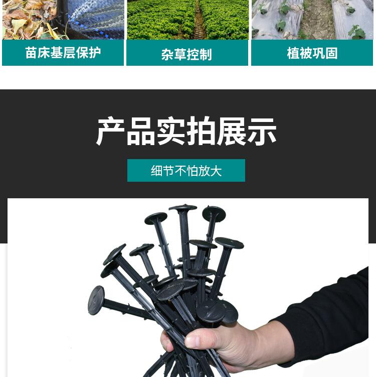 详情_11.jpg