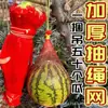 Saco de rede para melancia pendurado em estufa atacado saco de rede de plástico saco de rede para frutas saco de rede para melão pendurado saco tecido de nylon com cordão