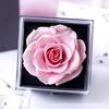 Collar de Flor Eterna de Flor Real Transfronterizo Caja de Joyería Caja de Flor de Rosa Acrílica Día de San Valentín Flores Secas
