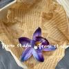 Flor Artificial Roxo Cymbidium Sexy Presilha Lateral Acessório de Cabelo DIY Flor de Chinelo Flor de Chapéu Popular de Comércio Exterior Orquídea Marfim