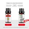 Óleo Essencial de Perfume Aromaterapia Foison Harvest Óleo de Perfume Atacado Transfronteiriço Máscara Cuidados com a Pele Curativo Úmido Massagem Matéria-Prima Amostra de 10ml