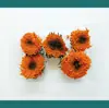 Materiais de Flores Secas Galhos Bolotas Pinhas Algodão Vagens de Lótus Jardim de Infância Artesanato Velas Aromáticas Fatias Decoração Adereços para Fotos