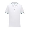 Ropa de trabajo 180g32 polo de manga corta con cuello solapa de iones de hielo suministro directo de fábrica logo word imprimible