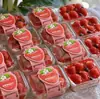 Caixa para Bolo Mousse de Morango, Caixa para Embalagem de Tiramisu, Caixa para Cortar Frutas, Pudim, Purê de Taro, Caixa de Queijo, Caixa para Levar