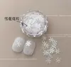 Pedras Strass Glitter Fino Lantejoulas Estrelas Ardentes Flocos de Neve Explosão Estelar Borboletas Múltiplas Especificações Disponíveis Glitter Areia de Estrela Decorações para Unhas