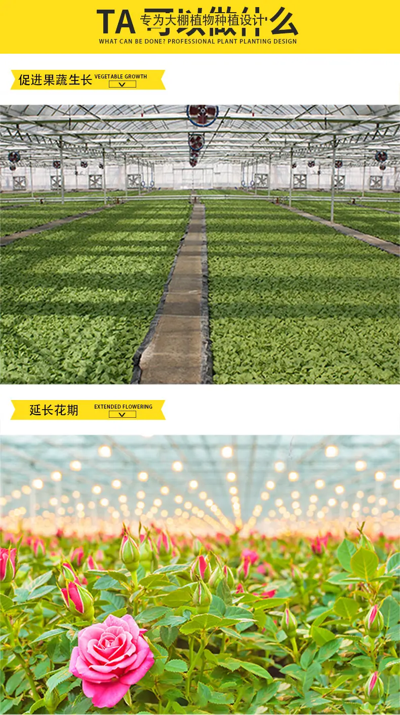 详情页_08.jpg