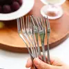 Estilo Hepburn Wood Set de Tenedores para Fruta de Acero Inoxidable Grado Alimenticio Postre Recogedor de Fruta Tenedor Pequeño Tenedor para Postre Tenedor para Fruta Pastel