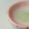 Suporte de cerâmica para bule de melancia estilo chinês criativo Iro no Kishu, tamanho pequeno, para uso doméstico, conjunto de chá, suporte para infusão a seco, bandeja de chá de alta qualidade