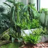 Escenario de Exhibición de Ventana Pieris Japonica Simulada Planta Interior de Gama Alta Arce Japonés Biomorfo Planta Verde Decoración Árbol Artificial Grande Paisaje