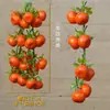Espetos Decorativos de Frutas e Legumes Pendurados, Espetos de Pimenta Falsos, Milho Decorativo para Ornamentos de Fazenda, Restaurante, Pátio, Pingentes de Colheita
