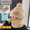 Chapéu Feminino Inverno 2024 Novo Quente Ciclismo À Prova de Vento Máscara Protetora Frio Espessada Pescoço Protetor Manga de Pescoço