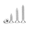 Tornillos Autorroscantes de Acero Inoxidable 304 Gb846 de Cabeza Avellanada Phillips St1-St2.9 Cabeza Plana