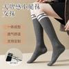 Nuevos Calcetines Lisos Versátiles de Otoño e Invierno para Mujer, Calcetines Largos para Protección contra el Frío y Calidez, Calcetines a Media Pantorrilla, Calcetines de Algodón para Mujer