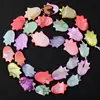 Conchas de Agua Dulce de Colores, Forma de Cruz, Forma de Corazón y Otros Tipos de Conchas, Accesorios para Collares y Pulseras DIY, Productos Semi-Terminados al por Mayor