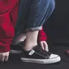 Tênis Casual Feminino Branco com Estampa de Grou 2026, Modelo Novo, Lona de Cano Baixo, Slip-On Versátil com Velcro, Sapatos Planos Casuais Respiráveis
