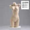 Mannequin de Torso Masculino e Feminino com Roupas Íntimas Brancas Franzidas Suporte para Exibição em Vitrine de Loja de Lingerie Cabide para Sutiã