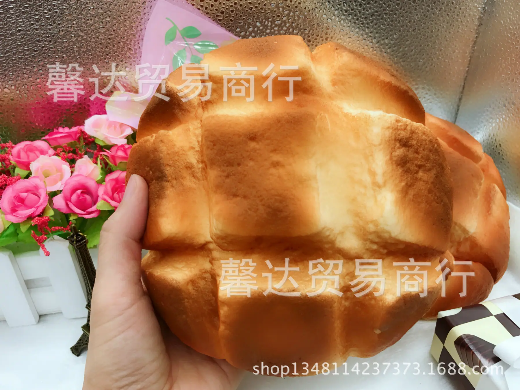 1491769873_IMG_4633