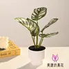 Plantas Verdes Simuladas Personalizadas Mini Bonsai Decorações de Interior, Plantas Verdes Artificiais Falsas, Ornamentos Criativos em Vasos para Sala de Estudo em Casa